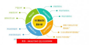 数字时代新篇章 网络信息技术开发与创新之路